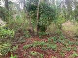 525 Live Oak Loop - Photo 3