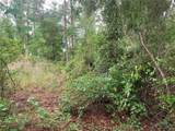 525 Live Oak Loop - Photo 4