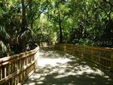 100 Sweetgum Woods Court - Photo 27