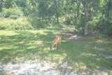 11933 Pasco Trails Boulevard - Photo 57