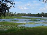 942 Lemon Bluff Road - Photo 24