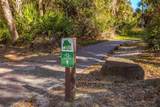8 Rising Moon Trail - Photo 62