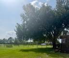 44645 Misty Isle Drive - Photo 12