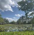 44645 Misty Isle Drive - Photo 15