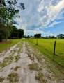 44645 Misty Isle Drive - Photo 4