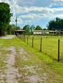 44645 Misty Isle Drive - Photo 5