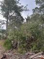  Jewell Drive - Photo 6