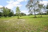 1741 Alanson Drive - Photo 31