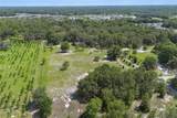 1741 Alanson Drive - Photo 47