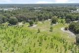 1741 Alanson Drive - Photo 56