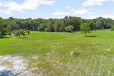 1741 Alanson Drive - Photo 61