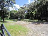 975 Rolling Acres Drive - Photo 10