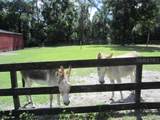 975 Rolling Acres Drive - Photo 14