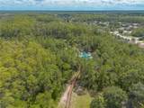 31 Abacus Avenue - Photo 56