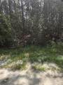 100 Palmetto Lane - Photo 2