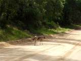  Deep Woods Road - Photo 62