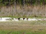  Deep Woods Road - Photo 66