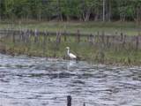  Deep Woods Road - Photo 69