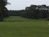  Deep Woods Road - Photo 70