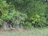 Deep Woods Road - Photo 71