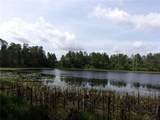  Deep Woods Road - Photo 78