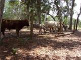  Deep Woods Road - Photo 80
