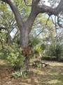 2455 Royal Road - Photo 18