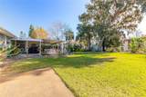 935 Big Tree Road - Photo 37