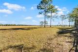 2120 St Johns River Road - Photo 17
