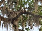 2635 Wood Duck Village - Photo 34