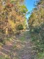  University Highlands/ Deland Crossings - Photo 2