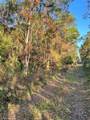  University Highlands/ Deland Crossings - Photo 3