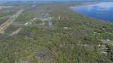  Jungle Road - Photo 12