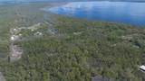  Jungle Road - Photo 13