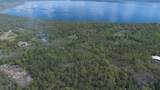  Jungle Road - Photo 14