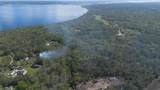  Jungle Road - Photo 16