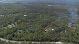  Jungle Road - Photo 19