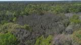  Jungle Road - Photo 21