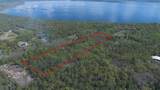  Jungle Road - Photo 4