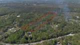  Jungle Road - Photo 9