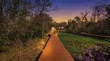 6595 Collier Road - Photo 90