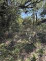 110 Mercers Fernery Road - Photo 1