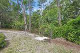 25801 Blue Lakes Drive - Photo 23
