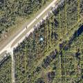 E Intl Speedway Boulevard - Photo 2