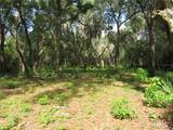  Oak Valley Drive - Photo 3