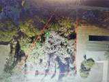 2318 Whitehorse Street - Photo 4