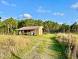 201 Wasick Lane - Photo 3