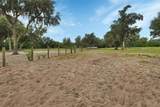 4940 State Road 11 - Photo 29
