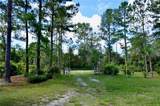 33135 Forest Ridge Road - Photo 2