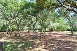 33135 Forest Ridge Road - Photo 6